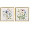 Stupell Industries Wild Flower Botanical Bundles 2pc Floating Frame Set, design by Nicole DeCamp